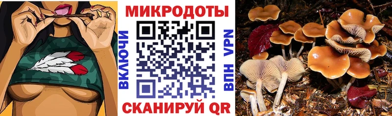 Купить закладки  Вольск  Галлюциногенные грибы ЛСД 
