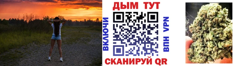 Купить закладки  Вольск  Бошки марихуана THC 21% 